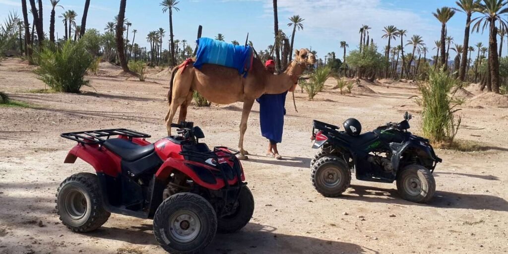 Western Sahara Quad Biking