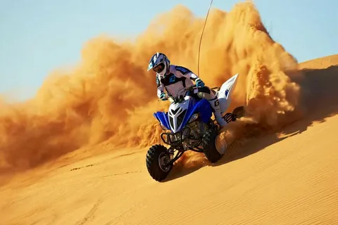 Western Sahara Quad Biking