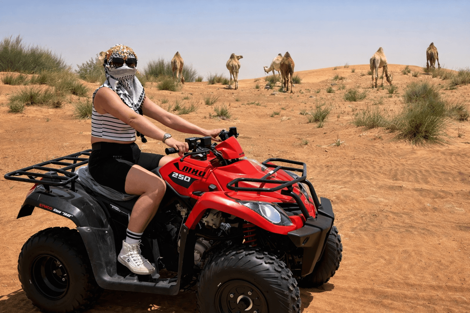250cc Single Seater Quad Bike Rental Dubai